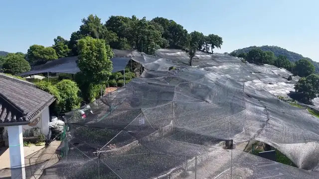 Video thumbnail for China: High-temperature Agriculture.