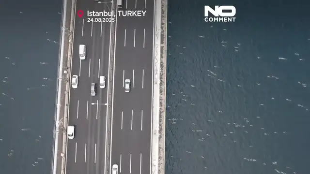 'Video thumbnail for More than 2,800 swimmers cross continents in Istanbul’s Bosphorus event'