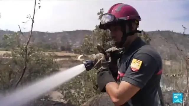Video thumbnail for France - Wildfires: 1,500 evacuated from campsites near Perpignan