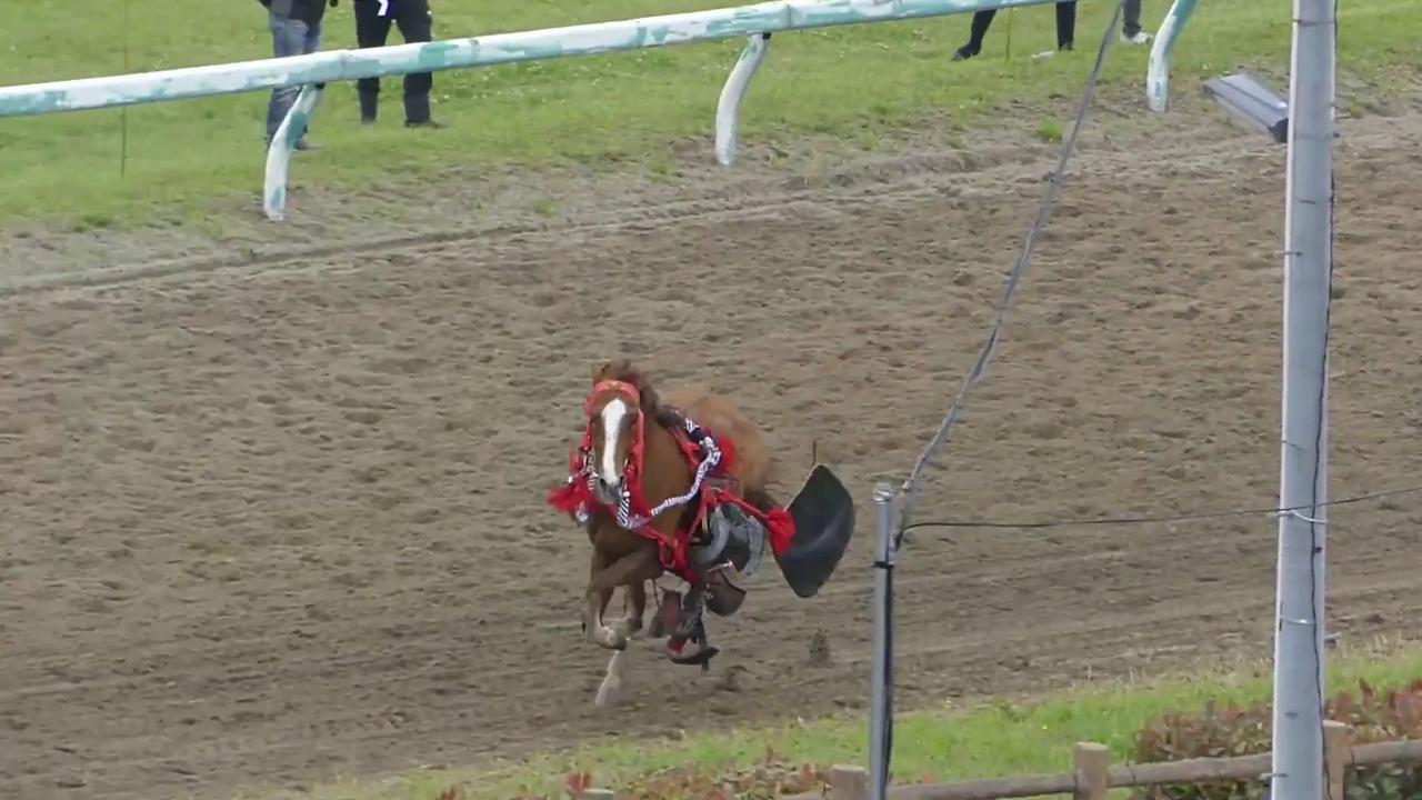 Video thumbnail for Japan: Chaos As Horse Charges Into Spectators During Armored Race In Fukushima.