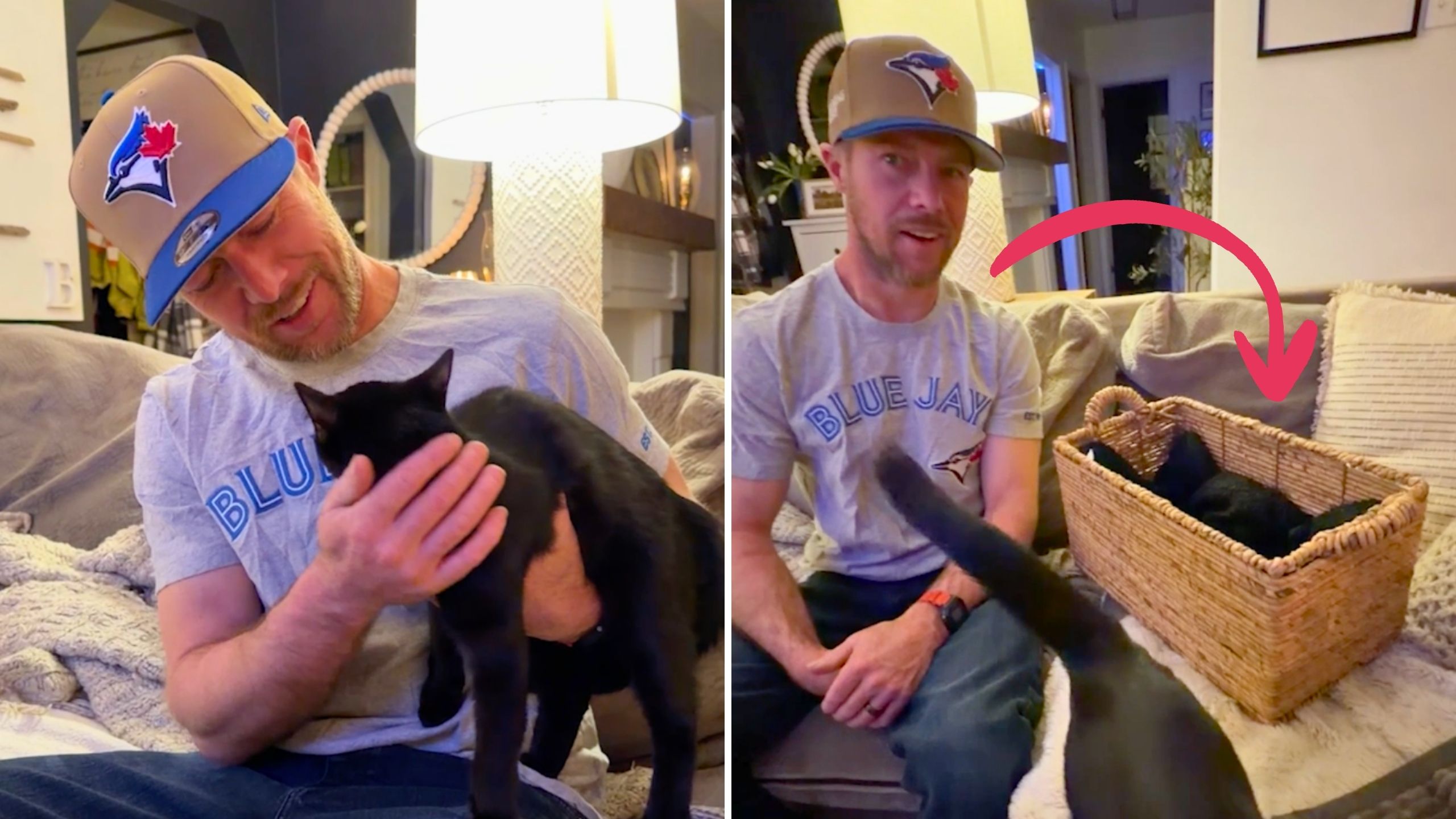 Video thumbnail for Wife Gifts Husband Dream Cat - Then FIVE Surprise Kittens Arrive