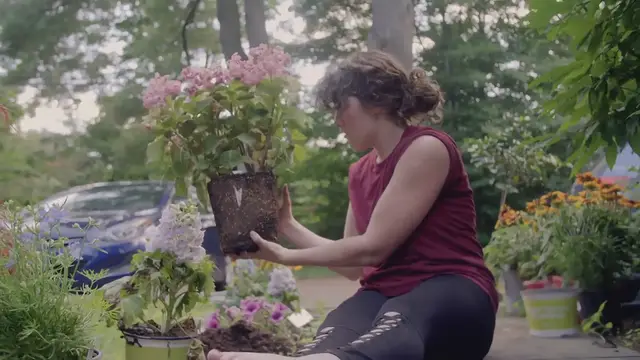 Video thumbnail for Propagating Houseplants