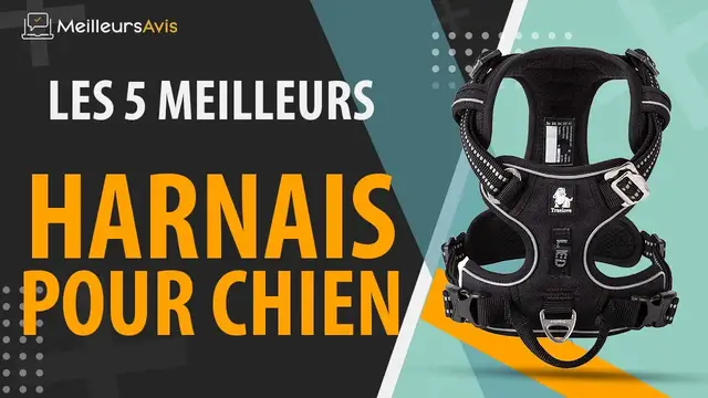 Video thumbnail for ⭐️ MEILLEUR HARNAIS POUR CHIEN - Avis & Guide d'achat (Comparatif 2021)