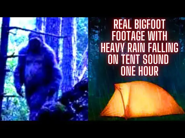 Video thumbnail for REAL BIGFOOT FOOTAGE with Heavy Rain Falling on Tent Sound ONE HOUR
