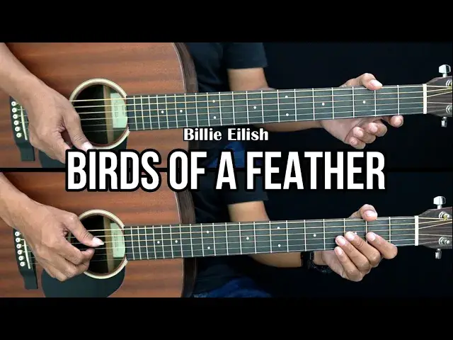 Video thumbnail for Birds of a Feather - Billie Eilish | EASY Guitar Tutorial - Guitar Lessons