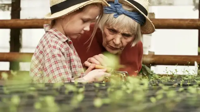 Video thumbnail for How to Save Dying Plants