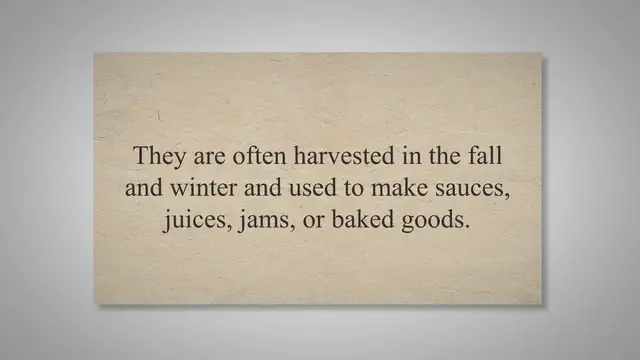 Video thumbnail for Can You Eat Raw Cranberries?