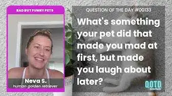 Video thumbnail for Neva's dog ate a whole stick of butter! Yummy!