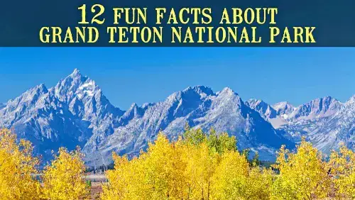 Video thumbnail for 12 Fun Facts about Grand Teton National Park