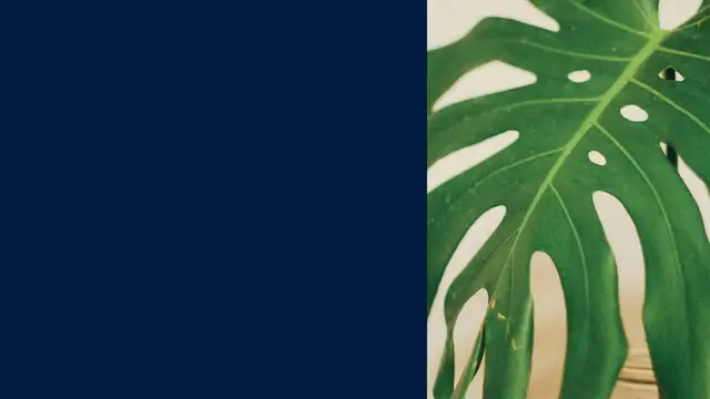 Video thumbnail for How to Prune Monstera Leaves