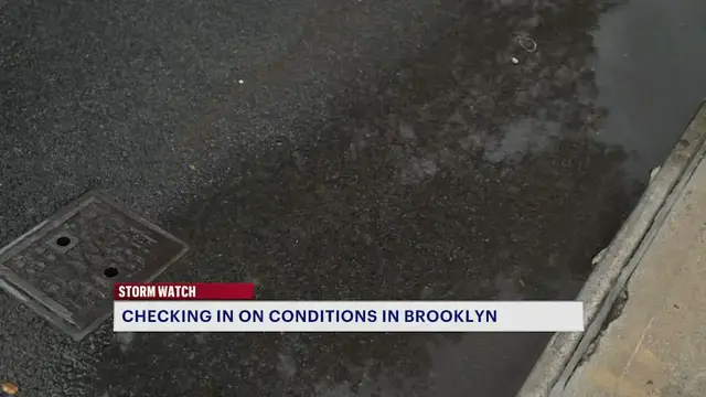 Video thumbnail for Storm Wrangler: Road conditions in Dyker Heights