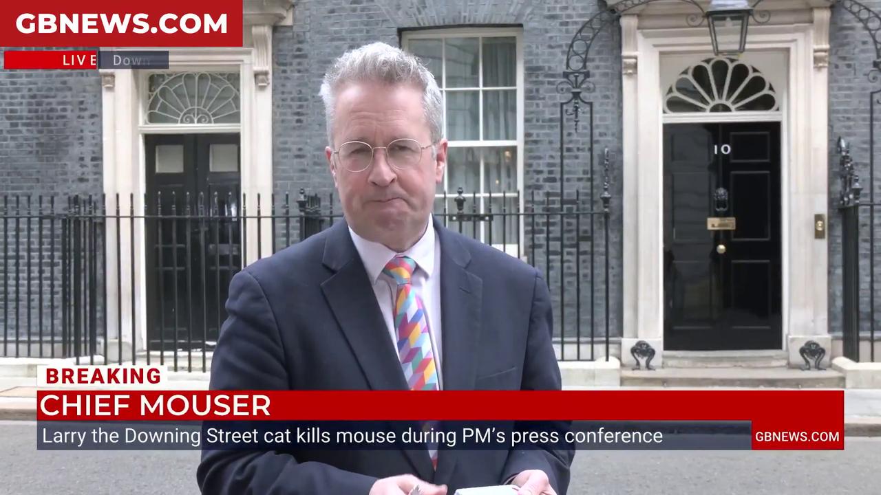 Video thumbnail for WATCH: Larry the Cat spotted hunting a mouse by Christopher Hope