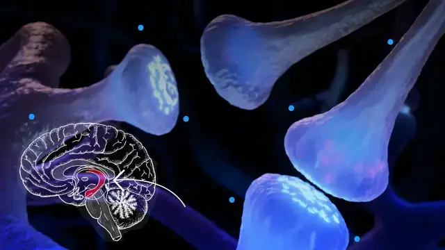 'Video thumbnail for How and why your memories shift over time, explained by neuroscience '