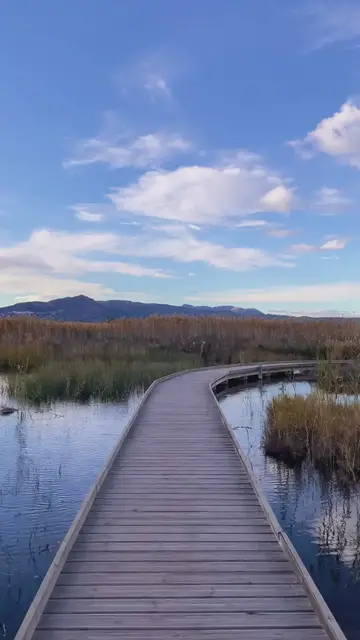 Video thumbnail for 🙏 Empieza Tu Día con Dios: Oraciones de la Mañana para Fe y Esperanza 🌞 #shorts | Guia nuestros passos