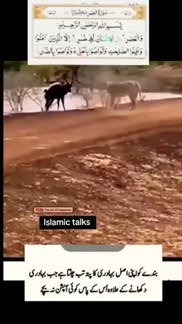 'Video thumbnail for Surah-Al-Aser_71'