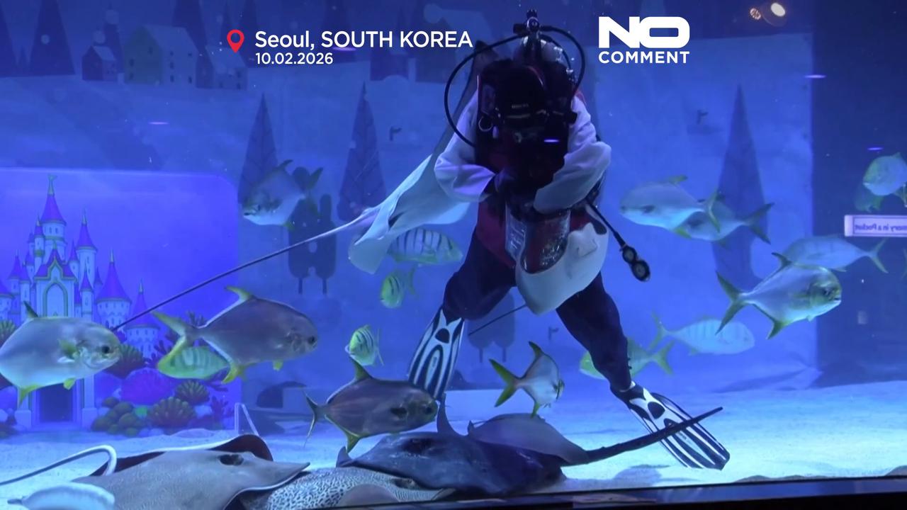 Video thumbnail for South Korean divers mark Lunar New Year with underwater performance in Seoul