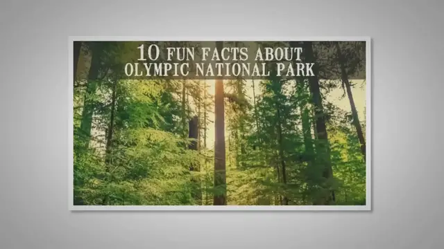 Video thumbnail for 10 Fun Facts About Olympic National Park