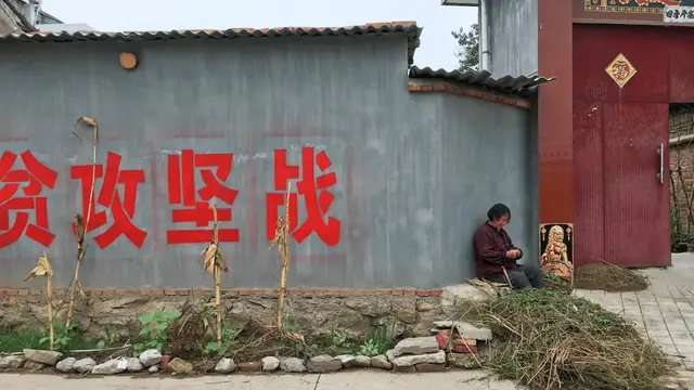 Video thumbnail for How solar panels helped one Chinese farmer escape extreme poverty