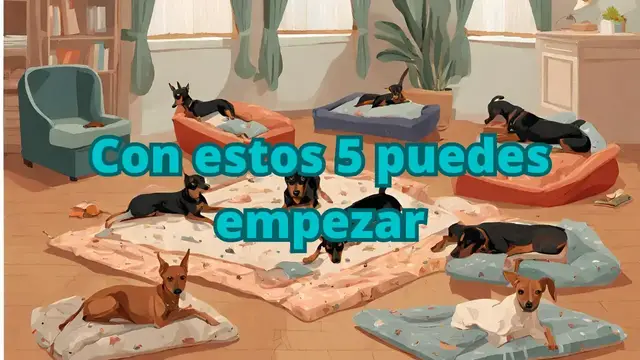 Video thumbnail for 🐕Camas para mascotas como negocio ❤️ 5 tips para iniciar