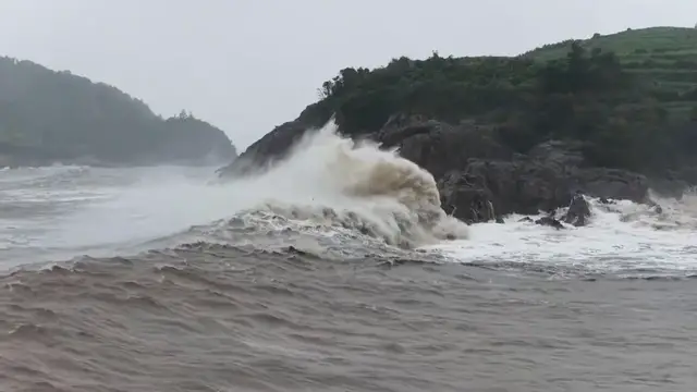 Video thumbnail for China: Dolphin expected to land along east coast Sunday evening.