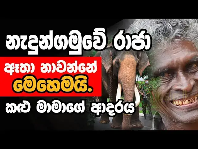 Video thumbnail for Love of Nedungamuwe Raja and Black Uncle