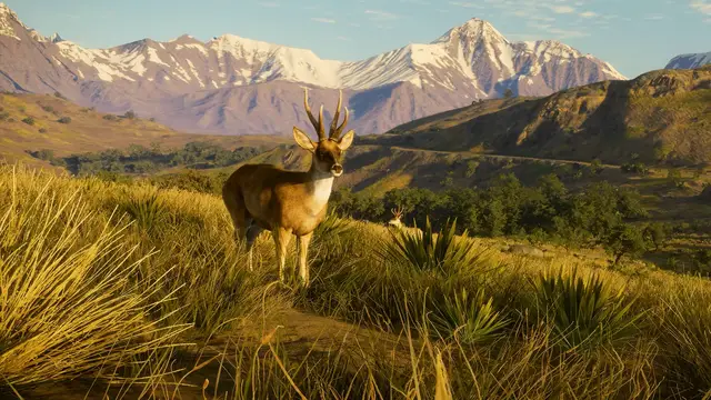 Video thumbnail for theHunter: Call of the Wild - Official Peru Hunting Reserve Launch Trailer