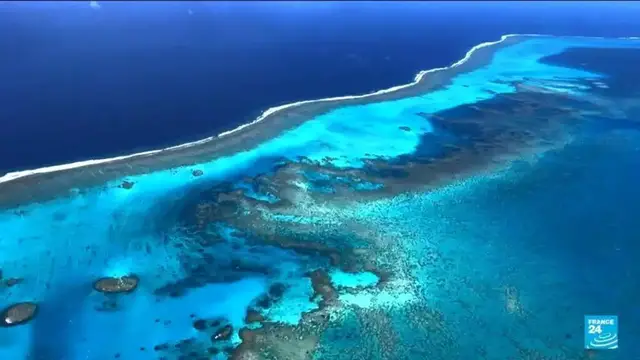 'Video thumbnail for Coral reefs under threat due to surge in global temperatures'