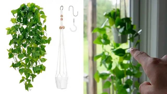 Video thumbnail for BLEUM CADE Fake Hanging Plants Kit Review