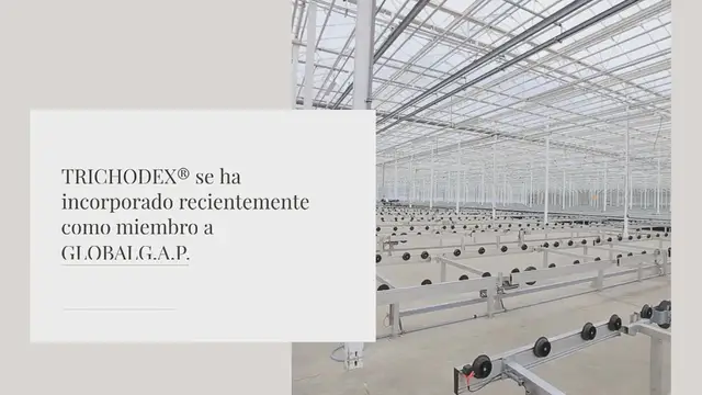 Video thumbnail for TRICHODEX®️ se ha incorporado recientemente como miembro a GLOBALG.A.P.
