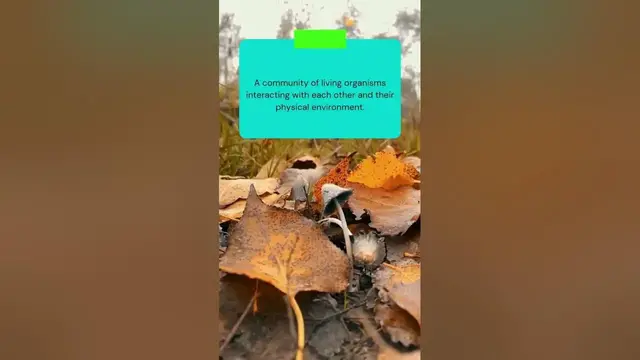 Video thumbnail for Meaning of ECOSYSTEM in Ecology #shorts