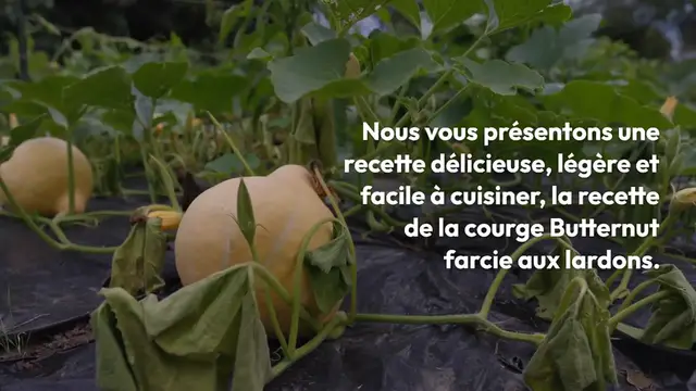 Video thumbnail for Butternut farcie aux lardons