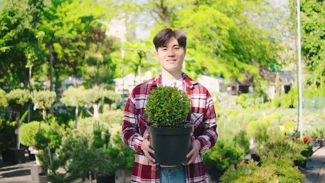 Video thumbnail for ZZ Plant Varieties Explained