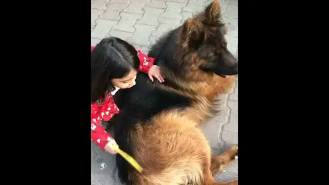 Video thumbnail for Dog And Girl - American Girl Dog Park Stop Motion | @American Girl