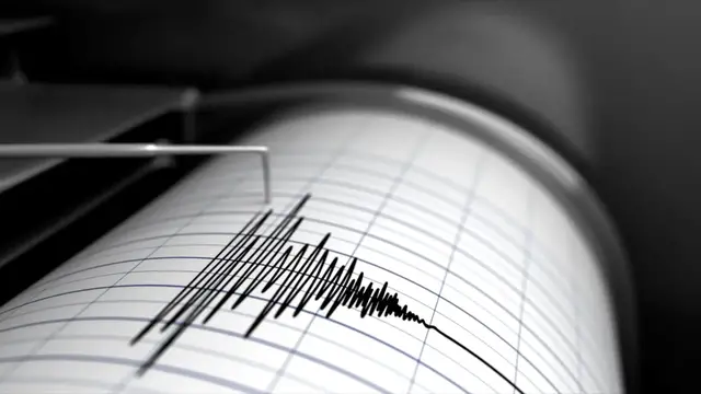 Video thumbnail for Can Earthquakes Help Trees Grow? A Closer Look