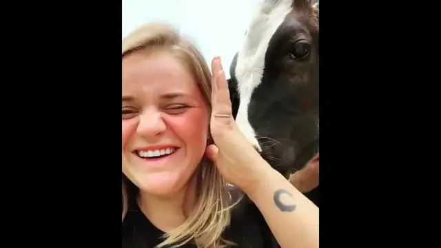 Video thumbnail for Rocky loves a good smooch🥰😘  #Shorts