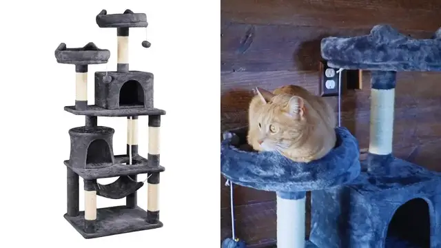 Video thumbnail for Everything To Know About This Yaheetech Cat Tree