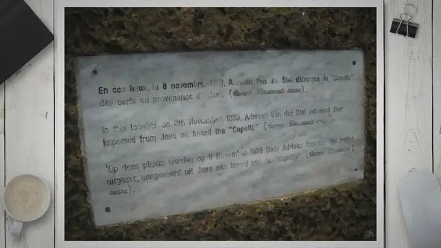 Video thumbnail for Different Breeds of Deer: Exploring the Diversity, Traits, and Conservation Efforts of Different Breeds