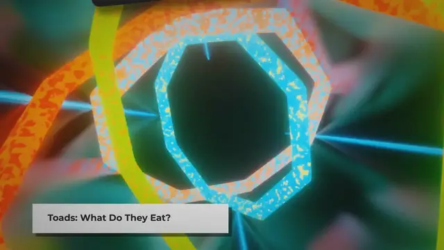 Video thumbnail for Do Toads Eat Spiders? | The Truth Revealed