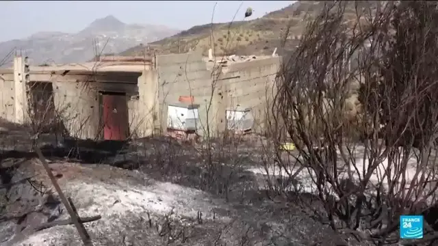 Video thumbnail for Algerian farmers on the frontline of heatwave-driven wildfires
