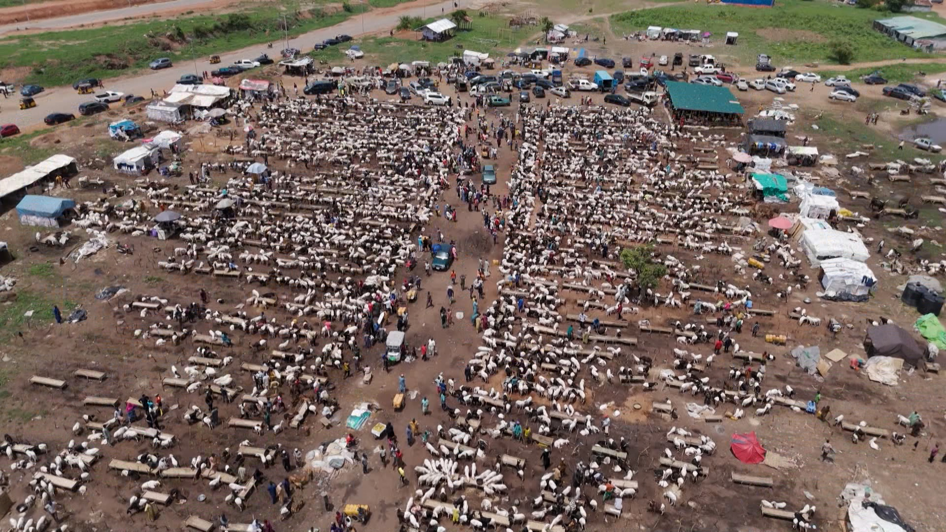 Video thumbnail for Nigeria’s Eid Crisis: When a ram becomes a luxury