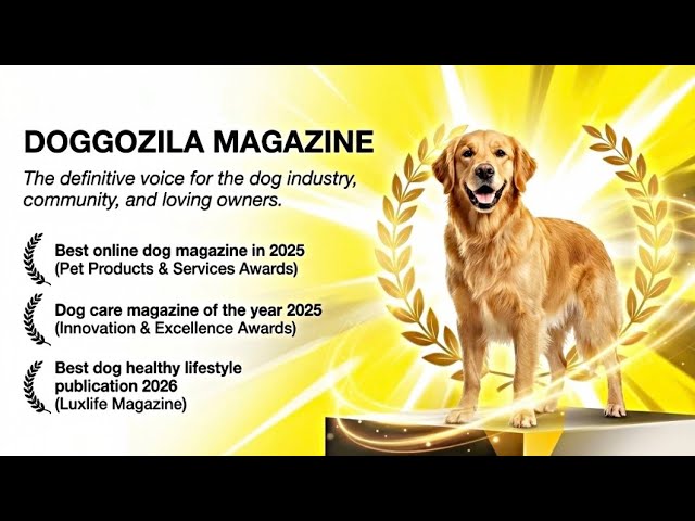 Video thumbnail for Doggozila Magazine Awarded for Best Healthy Dog Lifestyle Publication in 2026