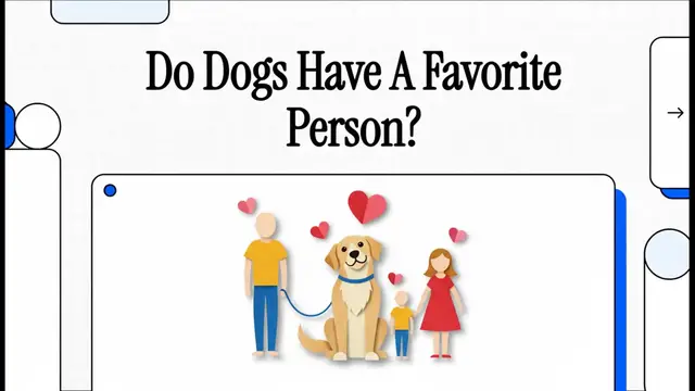 Video thumbnail for Do Dogs Have A Favorite Person?