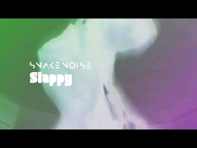 Video thumbnail for SnakeNoise - Slappy