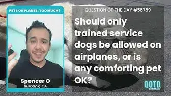 Video thumbnail for Spencer says any service animal can come on planes. As long as they don't disturb!