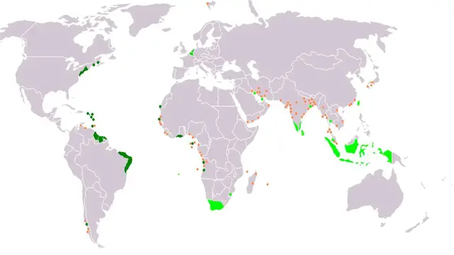 'Video thumbnail for European Countries' Colonial Flags'
