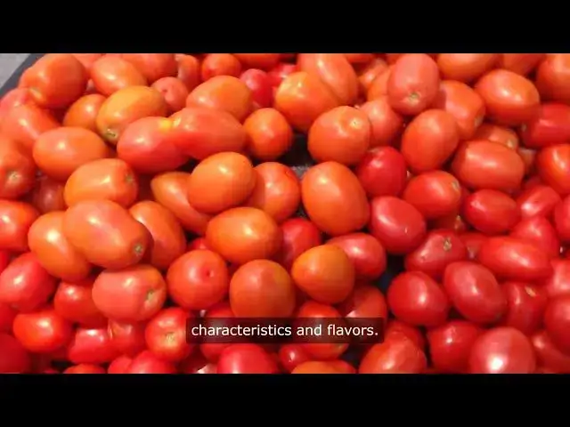 Video thumbnail for 9 Types of Bush Tomatoes To Grow