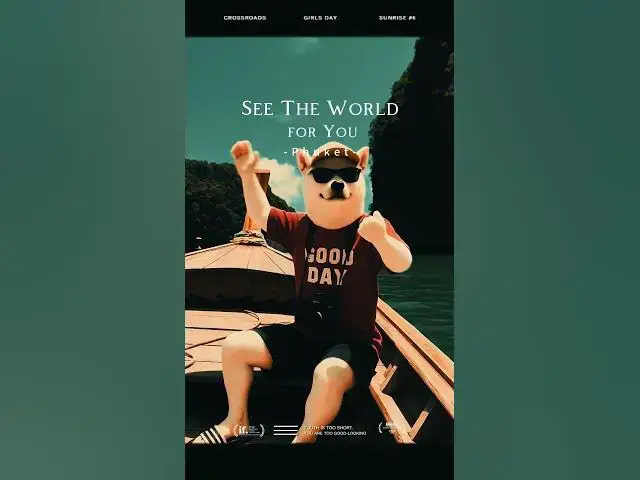 Video thumbnail for A puppy's travel adventure.The dog travels around the world for you. #puppy #cute   #phuket #travel