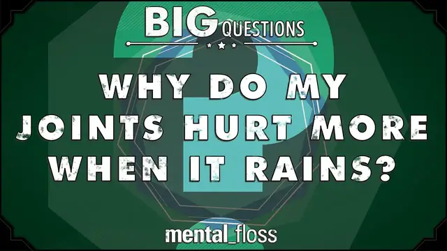 Video thumbnail for Why do my joints hurt more when it rains? - Big Questions - (Ep. 203) | Mental Floss