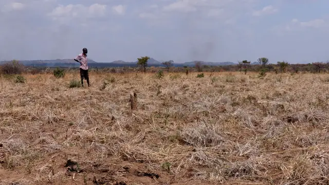 Video thumbnail for Food emergency deepens across Uganda’s Karamoja