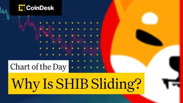 'Video thumbnail for Shiba Inu Down 5% Despite Token Burn'